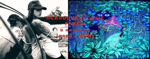 тгк Алексеевка